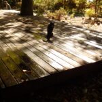 ウッドデッキ工事の施工事例