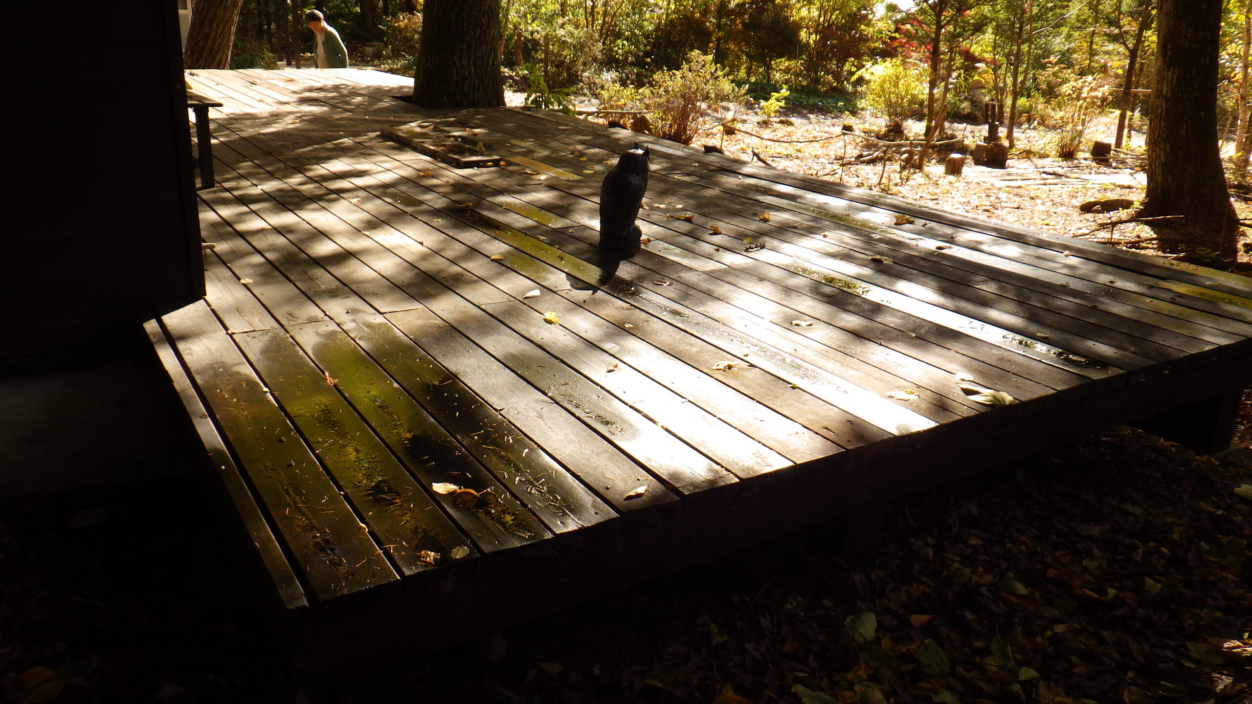 ウッドデッキ工事の施工事例