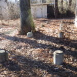 ウッドデッキ工事の施工事例