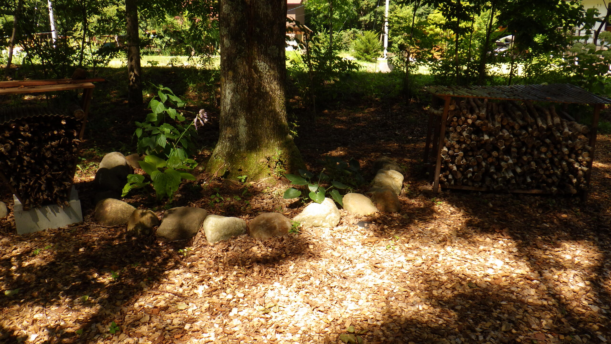 ウッドデッキ工事の施工事例