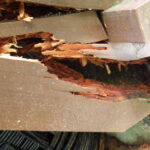 ウッドデッキ工事の施工事例