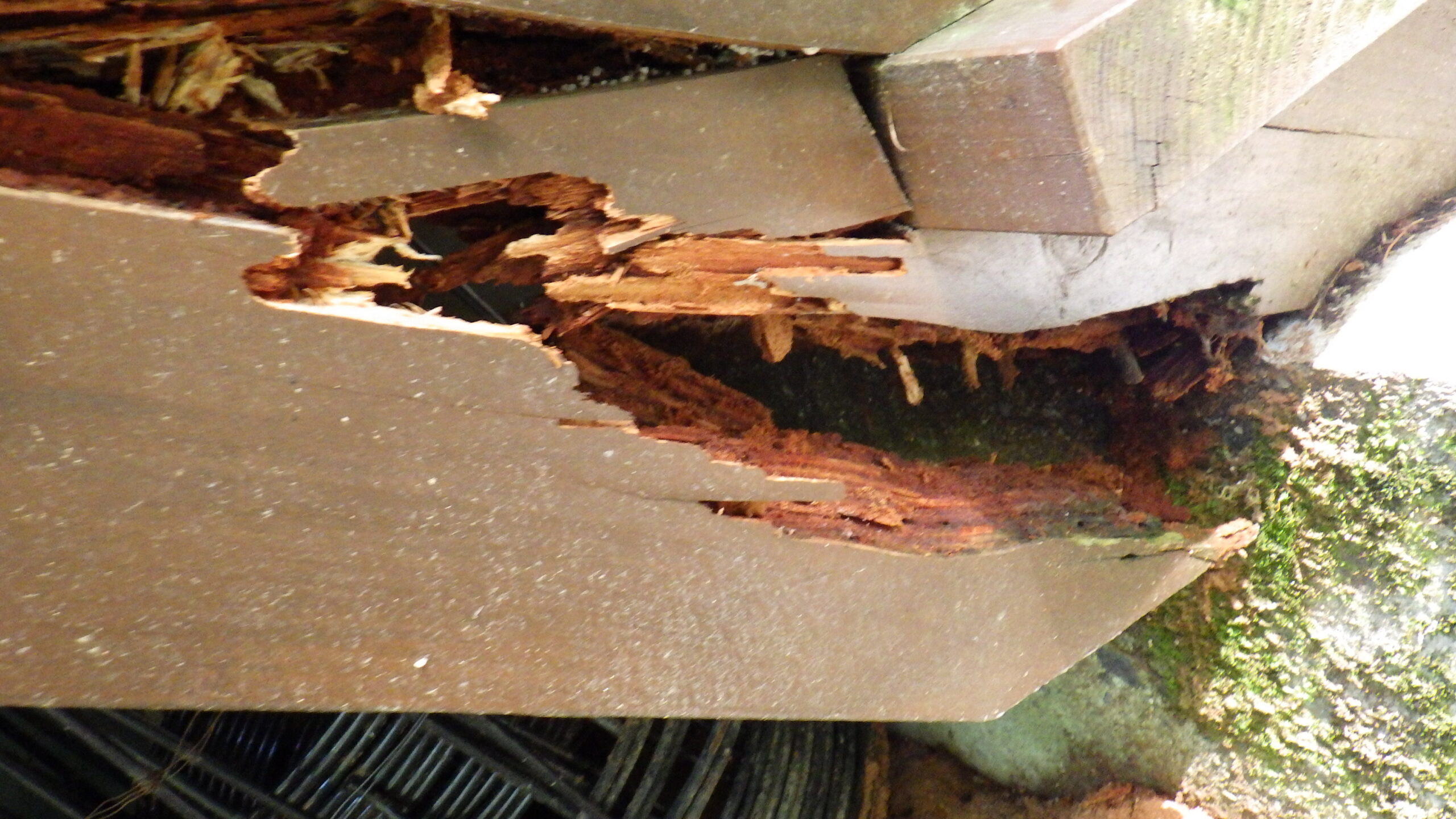 ウッドデッキ工事の施工事例